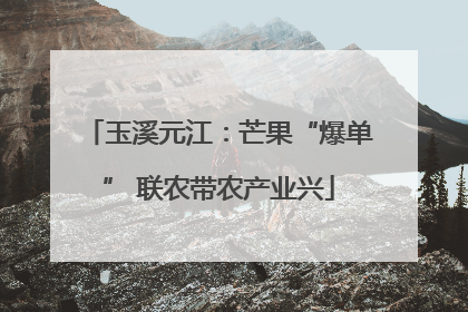 玉溪元江：芒果“爆单” 联农带农产业兴