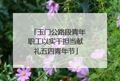 玉门公路段青年职工以实干担当献礼五四青年节