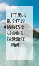 王勇带队全国政协经济委员会调研组赴浙江调研