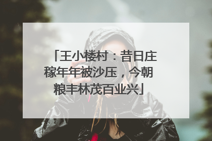 王小楼村：昔日庄稼年年被沙压，今朝粮丰林茂百业兴