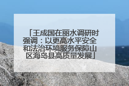 王成国在丽水调研时强调：以更高水平安全和法治环境服务保障山区海岛县高质量发展