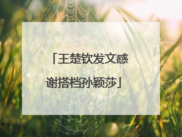 王楚钦发文感谢搭档孙颖莎