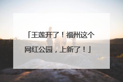 王莲开了！福州这个网红公园，上新了！