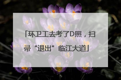 环卫工去考了D照，扫帚“退出”临江大道