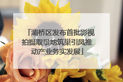 灞桥区发布首批影视拍摄取景地筑巢引凤推动产业务实发展