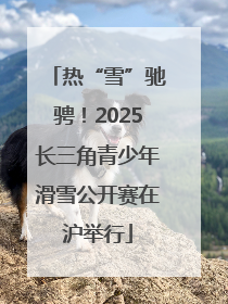 热“雪”驰骋！2025长三角青少年滑雪公开赛在沪举行