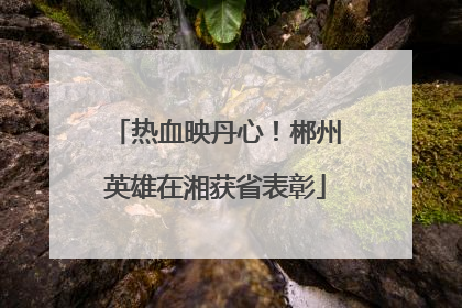 热血映丹心！郴州英雄在湘获省表彰