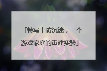 特写丨防沉迷，一个游戏家庭的重建实验