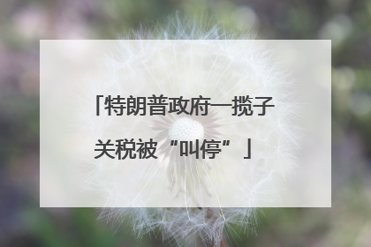 特朗普政府一揽子关税被“叫停”