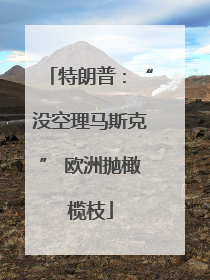 特朗普：“没空理马斯克” 欧洲抛橄榄枝