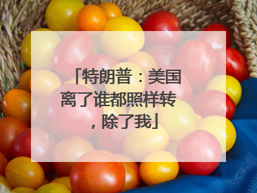 特朗普：美国离了谁都照样转，除了我