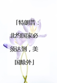 特朗普：北约国家必须达到，美国除外