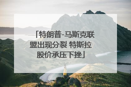 特朗普-马斯克联盟出现分裂 特斯拉股价承压下挫