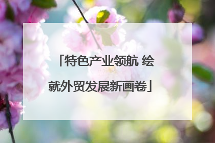 特色产业领航 绘就外贸发展新画卷