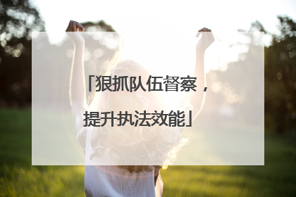 狠抓队伍督察，提升执法效能