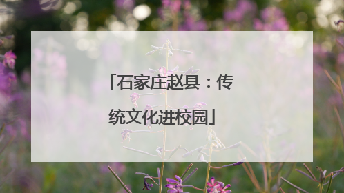 石家庄赵县：传统文化进校园