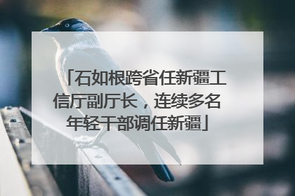 石如根跨省任新疆工信厅副厅长，连续多名年轻干部调任新疆