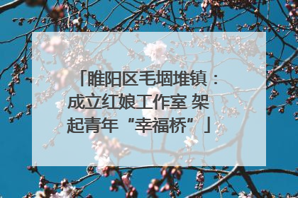 睢阳区毛堌堆镇：成立红娘工作室 架起青年“幸福桥”