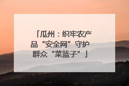 瓜州：织牢农产品“安全网”守护群众“菜篮子”