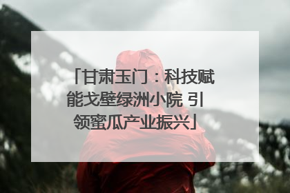 甘肃玉门：科技赋能戈壁绿洲小院 引领蜜瓜产业振兴