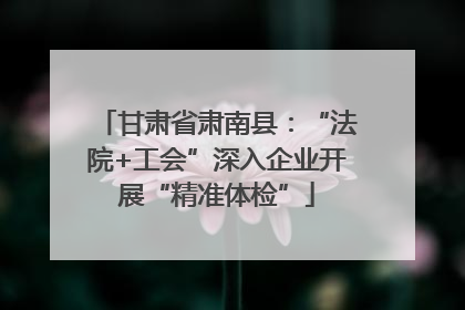 甘肃省肃南县：“法院+工会”深入企业开展“精准体检”