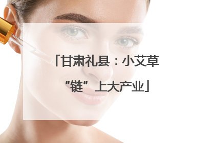 甘肃礼县：小艾草“链”上大产业