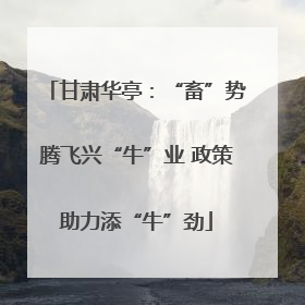 甘肃华亭：“畜”势腾飞兴“牛”业 政策助力添“牛”劲