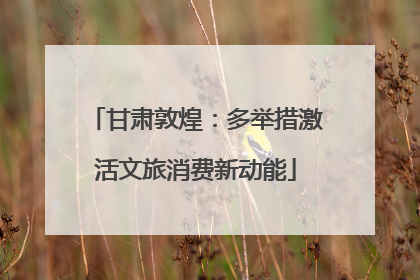 甘肃敦煌：多举措激活文旅消费新动能