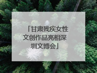 甘肃残疾女性文创作品亮相深圳文博会
