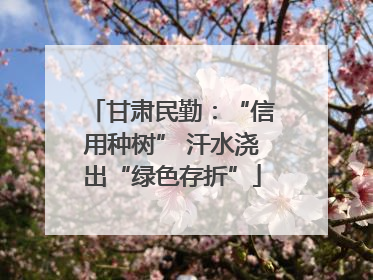 甘肃民勤：“信用种树” 汗水浇出“绿色存折”