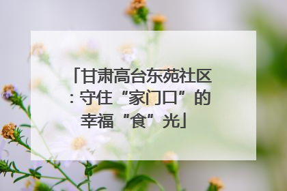 甘肃高台东苑社区：守住“家门口”的幸福“食”光