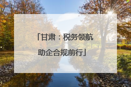 甘肃：税务领航 助企合规前行