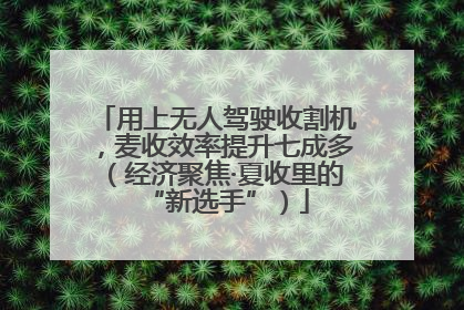 用上无人驾驶收割机，麦收效率提升七成多（经济聚焦·夏收里的“新选手”）