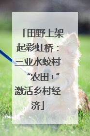 田野上架起彩虹桥：三亚水蛟村“农田+”激活乡村经济
