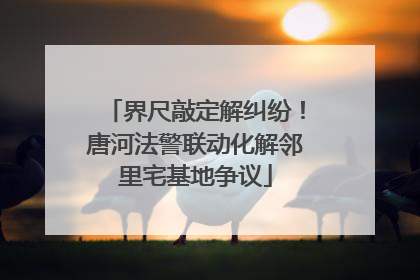 界尺敲定解纠纷！唐河法警联动化解邻里宅基地争议