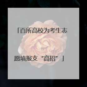 百所高校为考生志愿填报支“高招”