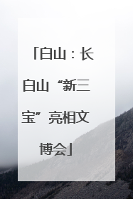 白山：长白山“新三宝”亮相文博会