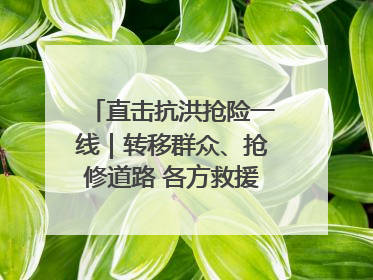 直击抗洪抢险一线｜转移群众、抢修道路 各方救援力量持续奋战