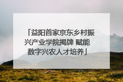 益阳首家京东乡村振兴产业学院揭牌 赋能数字兴农人才培养