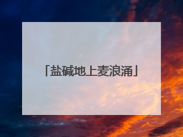 盐碱地上麦浪涌
