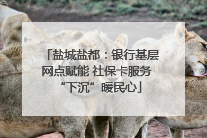 盐城盐都：银行基层网点赋能 社保卡服务 “下沉”暖民心