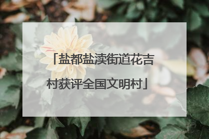 盐都盐渎街道花吉村获评全国文明村