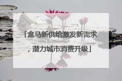 盒马新供给激发新需求，潜力城市消费升级