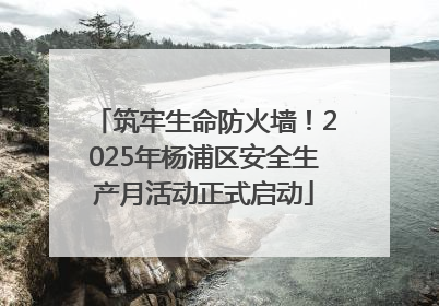 筑牢生命防火墙！2025年杨浦区安全生产月活动正式启动