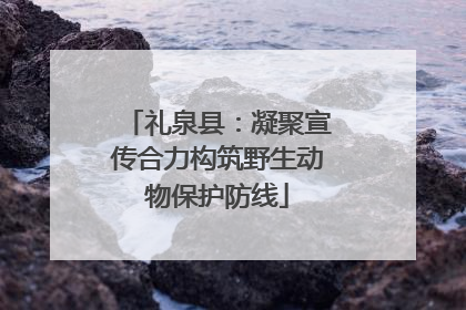 礼泉县：凝聚宣传合力构筑野生动物保护防线