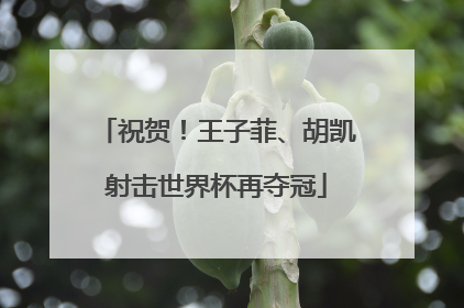 祝贺！王子菲、胡凯射击世界杯再夺冠