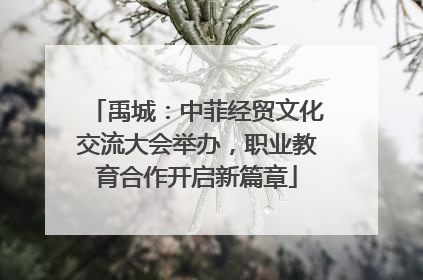 禹城：中菲经贸文化交流大会举办，职业教育合作开启新篇章