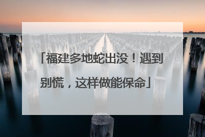 福建多地蛇出没！遇到别慌，这样做能保命