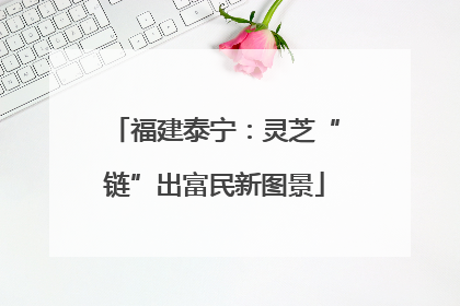 福建泰宁：灵芝“链”出富民新图景