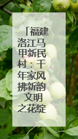福建洛江马甲新民村：千年家风拂新韵 文明之花绽乡野